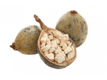 Baobab fruit