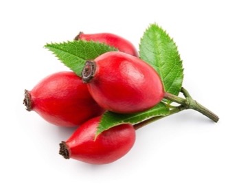 Rosehip